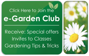 e-Garden Policy
