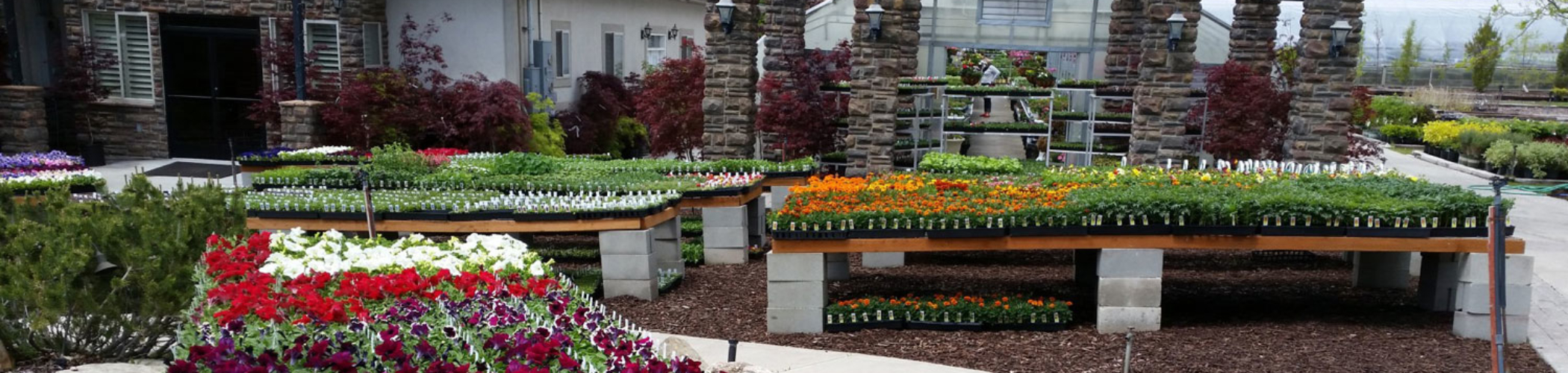Lomond View Nursery