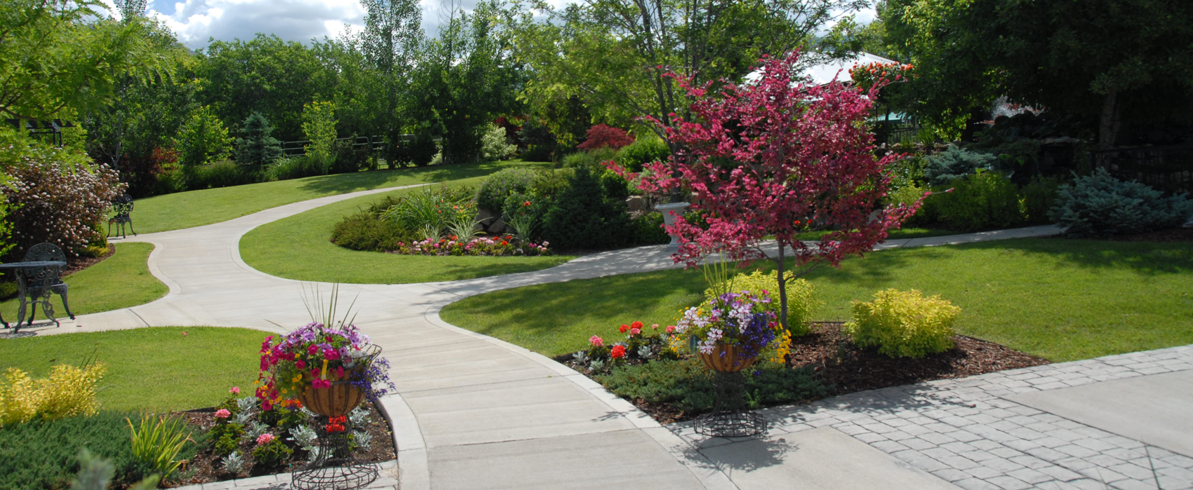 sidewalk curves2 Lomond View Nursery