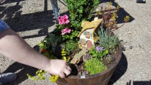 Fairy Gardens and Lomond View’s Fairy Garden Party