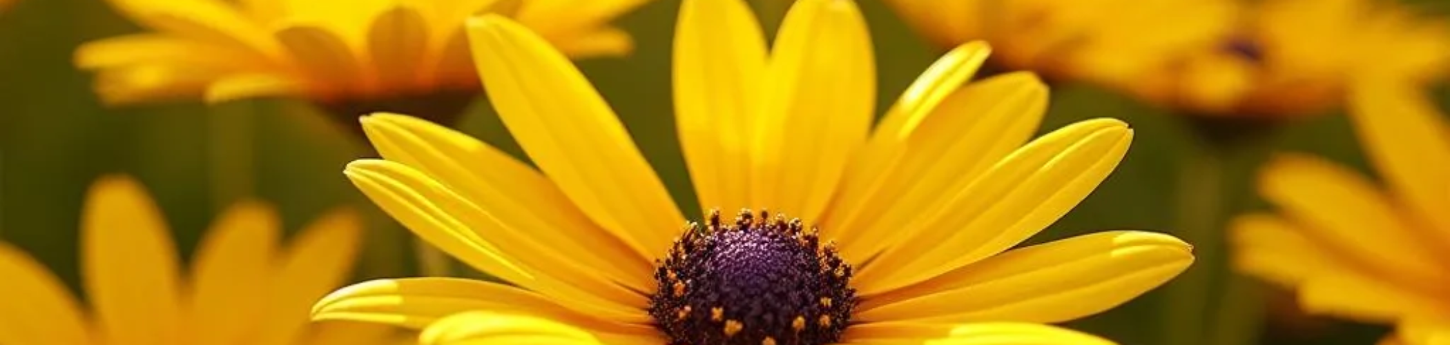 freepik__the-style-is-candid-image-photography-with-natural__17785