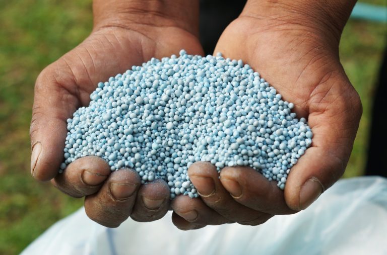 Fertilizer pellets Lomond View Nursery diammonium-phosphate-dap-16-45-0-everchem-fertilizer-company