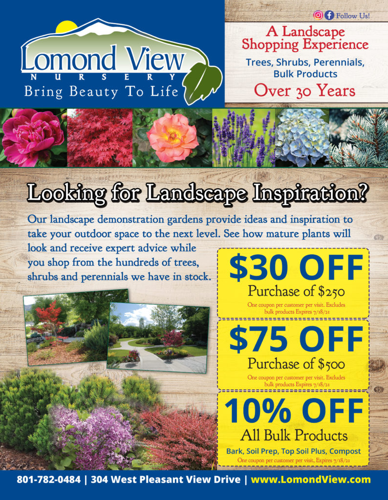 Specials Lomond View Nursery